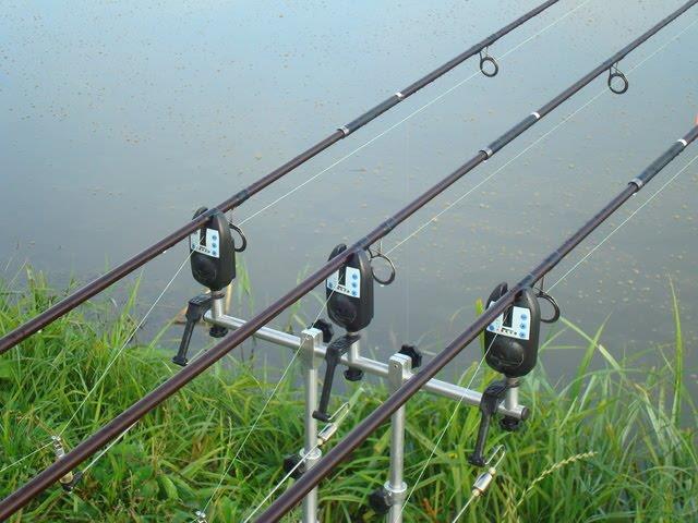 crapi - echipament-pentru-pescuit-la-crap1.jpg